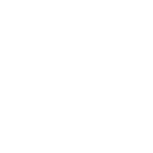 AVL Salaris